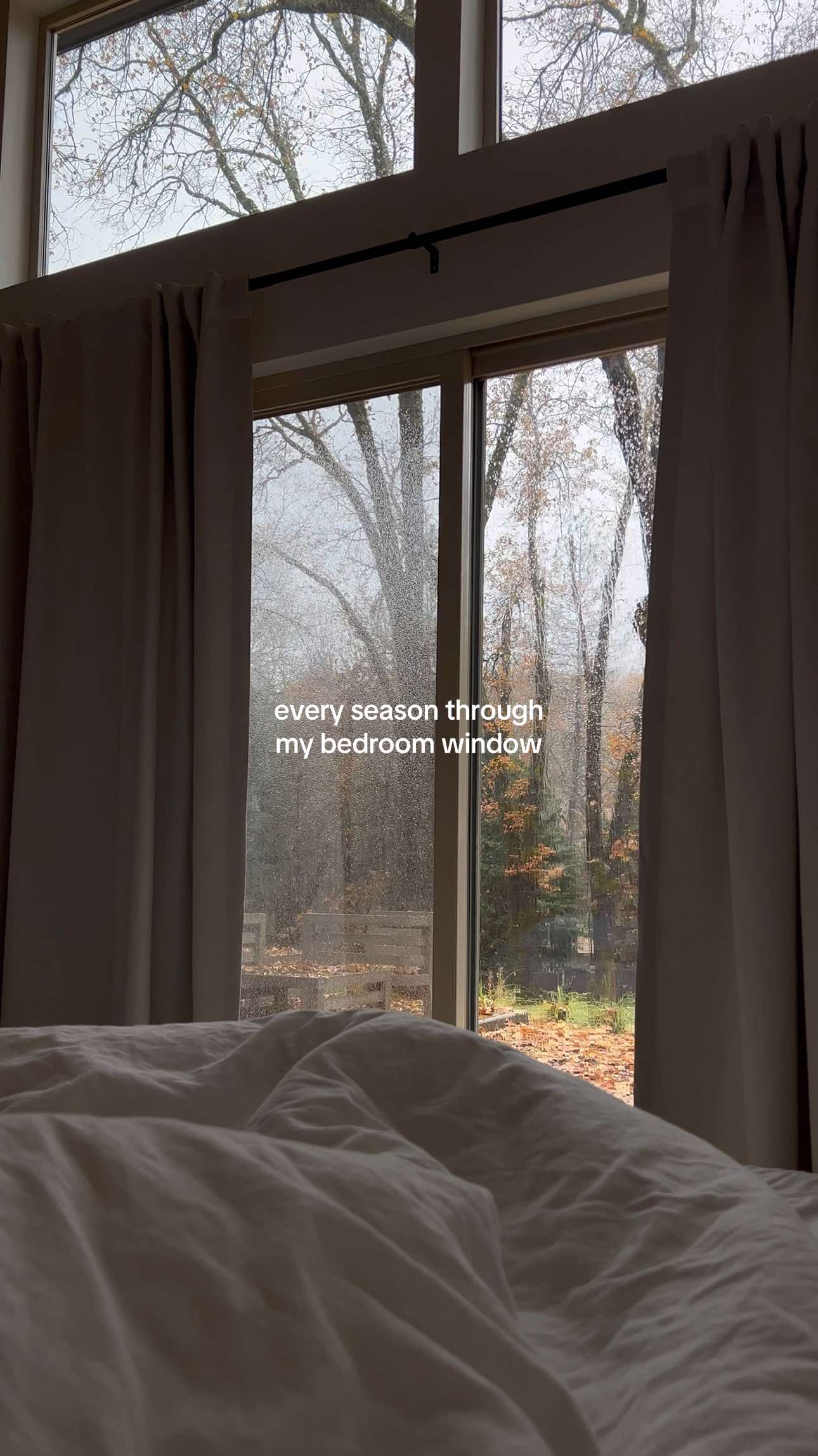 favorite views to wake up to🍃✨💌#seasons #Home #fall #winter #cozy 