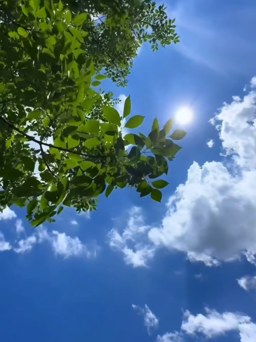 #alhamdulileh #الحمد #لله #سمع_الله_لمن_حمده #الله 