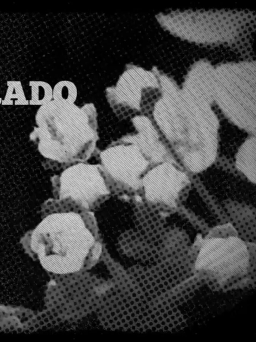 The boy - Smashing Pumpkins  #thesmashingpumpkins #theboy #musica #music #billycorgan #fyppppppppppppppppppppppp #fypdong #foryoupageofficiall #foryouu #paratiiiiiiiiiiiiiiiiiiiiiiiiiiiiiii #letras
