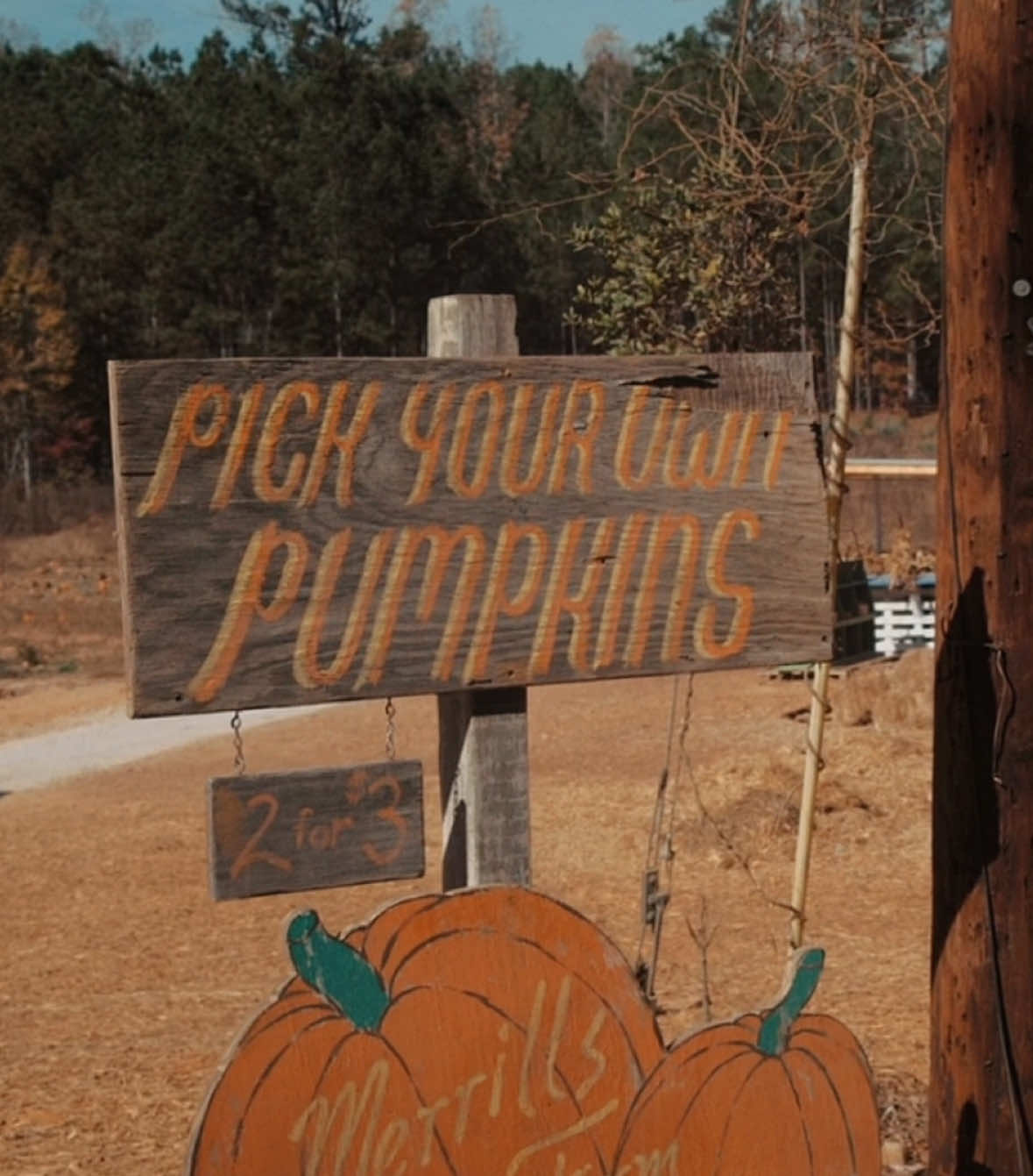 ‘tis the season 🍂 #strangerthings #strangerthingsedit #edit #editor #autumn 