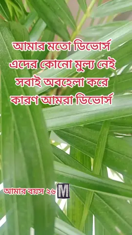 ডিভোর্স ছেলে আমি 