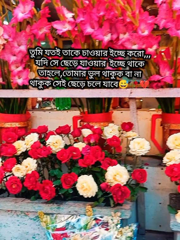 কপি লিংক শেয়ার চাই আইডি ফিউজ💔🥹#foryou #foryoupage #fyp #copilink #shar 