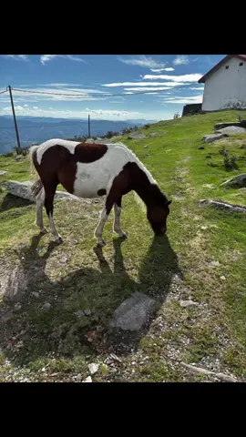 #larhunepaybasque  #paysbasquetourisme #famille @Lespochtrons81  