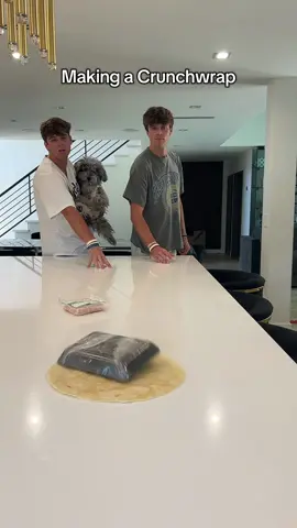 Let me start working at Tacobell @Carson Genal 