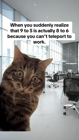 #MemeCut #Meme #MemeCut 