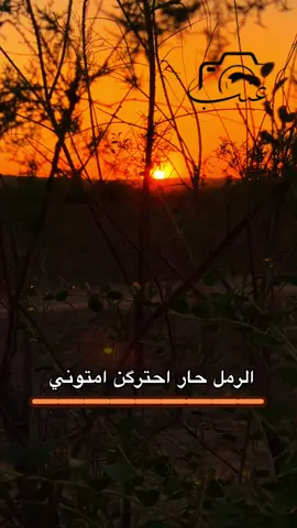 #تصويري_احترافي_الاجواء👌🏻🕊 #قناتي_تليجرام_بالبايو💕🦋 #تصويري📸اكسبلوور♥️🙂📸اكسبلوور 