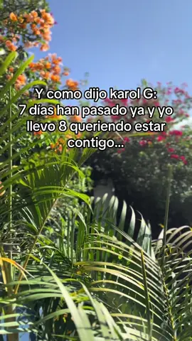 #karolg #bandido #cuandomemuerateolvido #olvido #contigo 