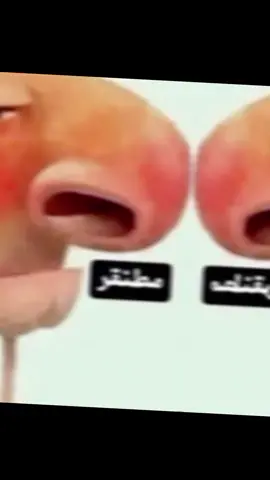 صباحالخيرمنجلبكصباحالخير🤩🥰🌹❤️🗿🌹🤩🌹🤩⚡🥰#viralvideo #shitposting #stitchkindness #fyp #foryoupage 