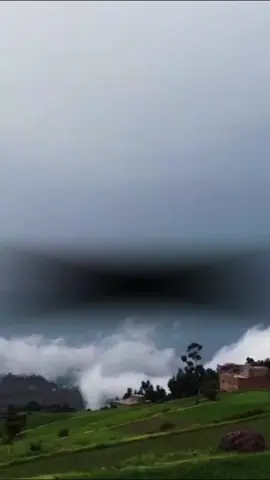 #CapCut 