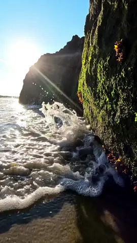 Where the sea sets the mind free ✨ #sea #sunset #beach #waves #oregoncoast 