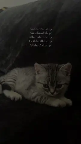 Today‘s Dhirk🤍#quran #babycat 