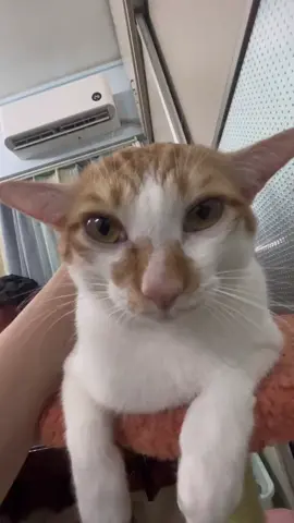 #fyp #tiktok #feelings 