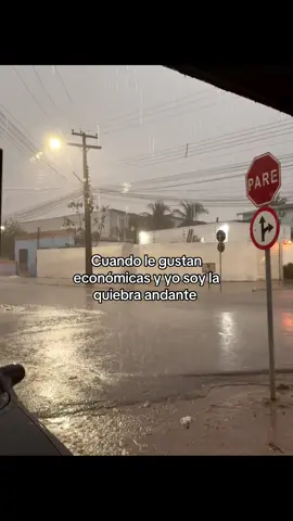 #contenido 