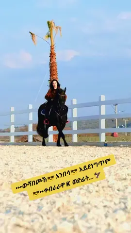 #fypシ゚ #CapCut #fypシ゚ #CapCut #fypシ゚ 