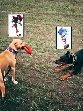 #CapCut #sonicvsshadow 