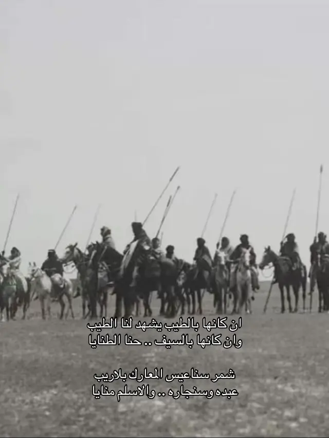 #شمر #حايل #نجد #hail #fyp 