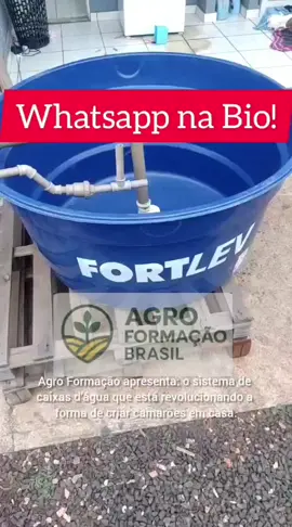 MATRICUÍCULAS ABERTAS Descubra como transformar uma caixa d’água em uma fonte de lucro! Aprenda o passo a passo para criar camarões em casa, sem precisar de experiência e com baixo investimento. ✅ Projeto completo ✅ Vídeo Aulas completas ✅ Lucros mensais de até R$5.000 💡 Comece hoje mesmo e mude sua renda!