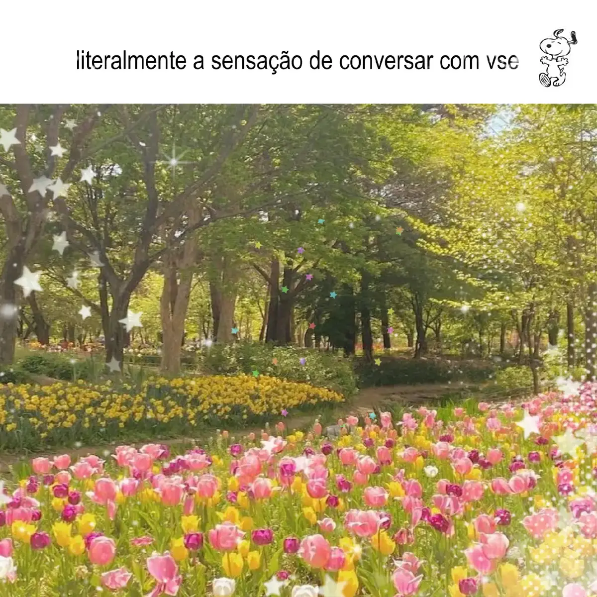 vídeo fofo dps d anos #dedicated #friendship #foryou #songs #harvey 