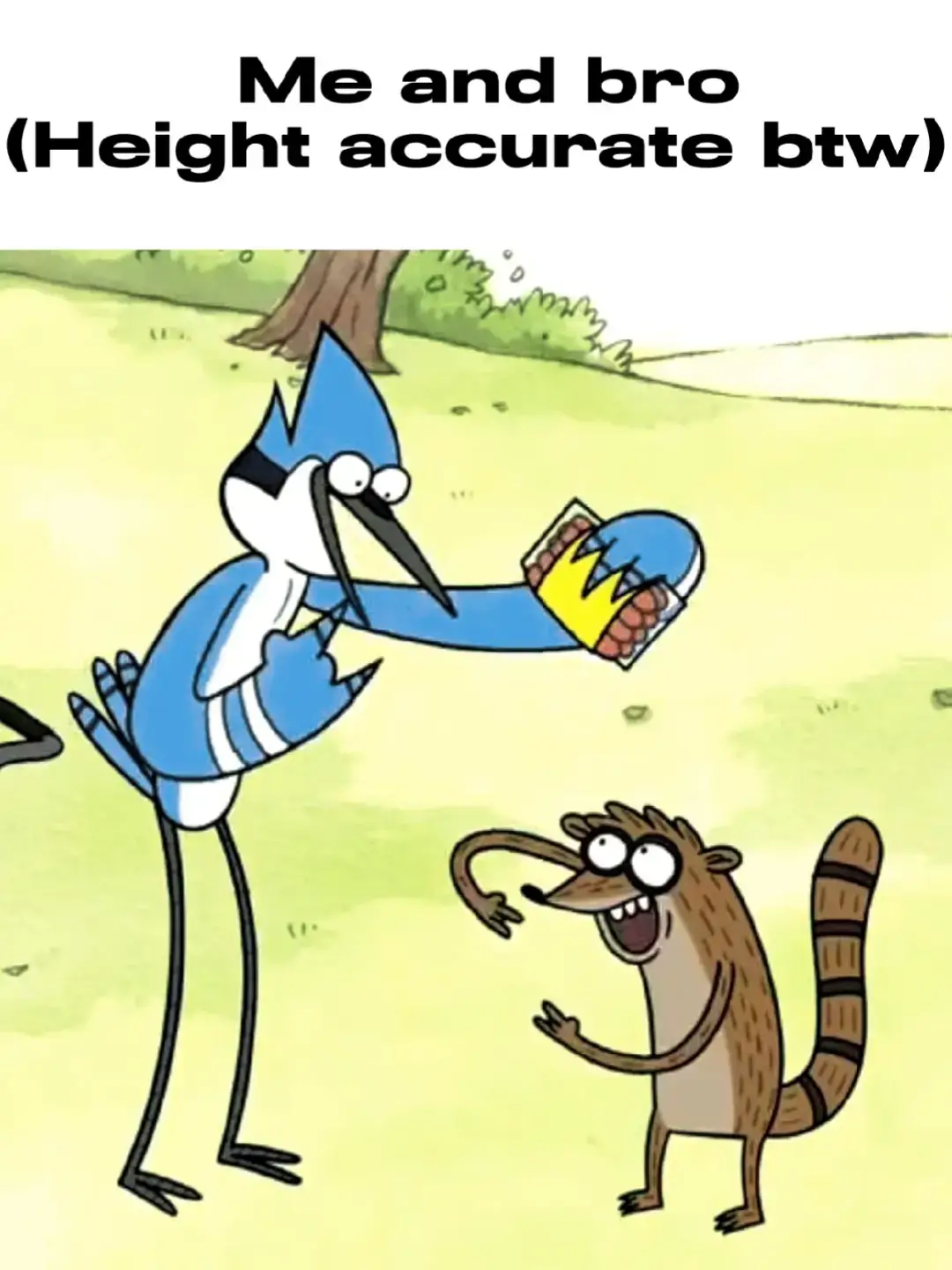 #bro #fypシ #height #slideshow #rootbeer 