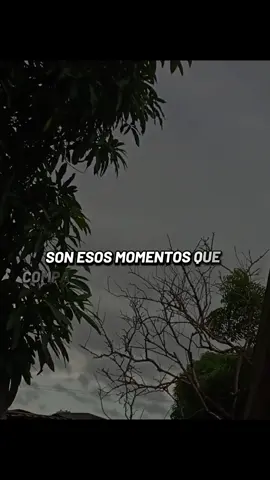#paratiii #fyp #david_ofi #frasesmotivadoras #videoviral @Farid Dieck las cosas que verdaderamente importan en la vida son esos momentos que compartes con las personas que más quieres, deja tu me gusta, comparte y sígueme para más contenido, thanks You very much 🍃✨🫶🏻