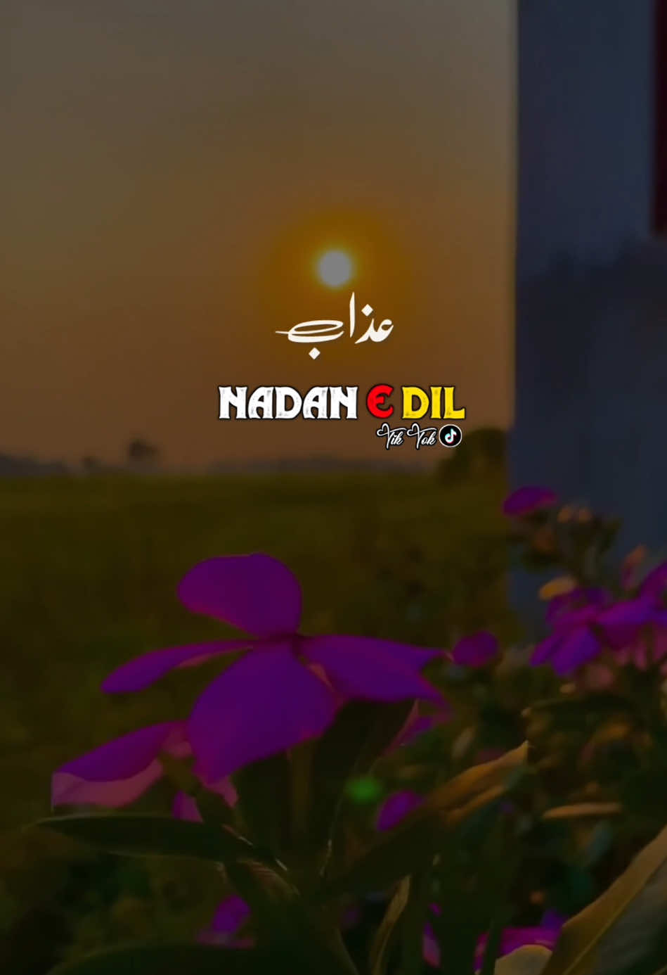 #سنگت_ویڈیو_وائرل_کریسو_آپ_ہیں🥀🌼🙈✨🎇 #foryou #foryoupage #foryoupageofficiall #fyp #fypシ #fypシ゚viral #saraiki #saraikipoetry #growmyaccount #burhantv #standwithkashmir #sadpoetry #viralpoetry #whatsappstatus #trendingvideo #whatsppstatsus #background #backgroundmusicforpoetry #deraghazikhan #rahimyarkhan #deraghazikhan #plzunfrezemyaccount #dontunderreviewmyvideos🙏 @Dastan E Ishq @My Alfaaz @Ibtada E Sukhan @Junoon E Ishq 