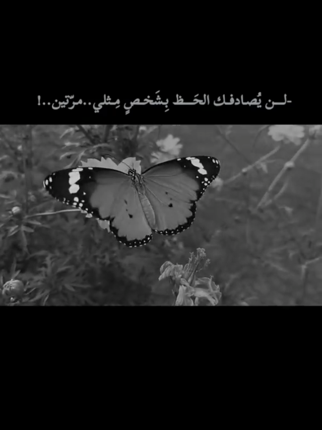 لن يصادفك الحظ بِـشَخصٍ مثلي ، مرَّتين..!   #virall #fypシ #foryou   #اقتباسات#اكسبلورexplore 