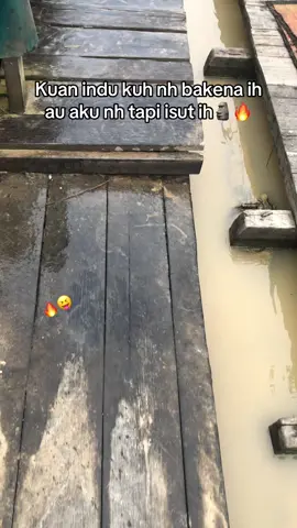 @Rino @Rido★ @Penjahat 🐊 @RaizNelly #tambangemaskalimantan #tambangemas #kapuasbenteng #elanengateah😝 