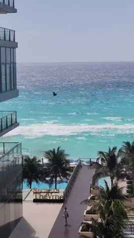 📍 Secrets The Vine Cancun ✨ Today’s best angle: right here above the Caribbean 💙 Luxury, views, and vibes you’ll never forget. #SecretsTheVine #CancunVibes #CaribbeanViews #LuxuryEscape #travelgoals 
