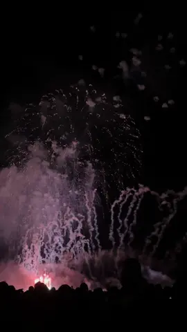 大曲の花火🎆 #大曲花火大会 