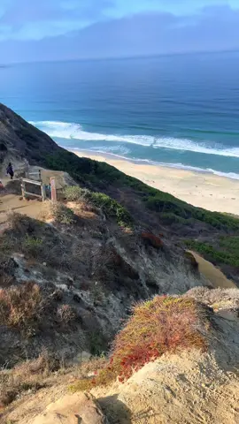 #travel #california #torreypines #blacksbeach 