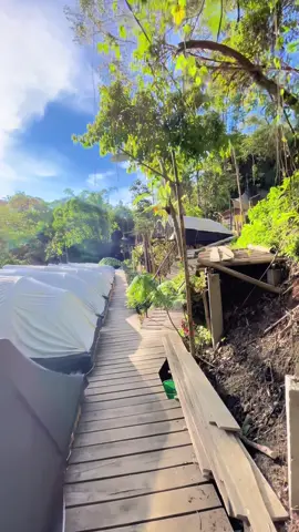 Agak sedikit minggir dari bising nya DRP,Kalian serakah!!tpi alam tidak pernah mengecewakan 🔥  #masukberandafyp #fypシ #yxzcba #benermeriah #aceh 