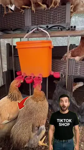 #dicas_utilidades #tiktokshopbrasil #ferramentas #bebedouro #galinhas 