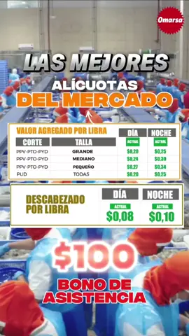 💪🦐 En Omarsa el área de *Valor Agregado* marca la diferencia 🙌✨ ✅ Bono de Asistencia $100 extra 💵 ✅ Tenemos las Mejoras Tarifas del Mercado  📈 ✅ Escuela de Pelado 🎓🦐 Aquí tu esfuerzo se convierte en crecimiento y futuro para tu familia ❤️👨‍👩‍👧‍👦 #Omarsa#OportunidadLaboral #Camaronera #Empleo #SíCumplimos 