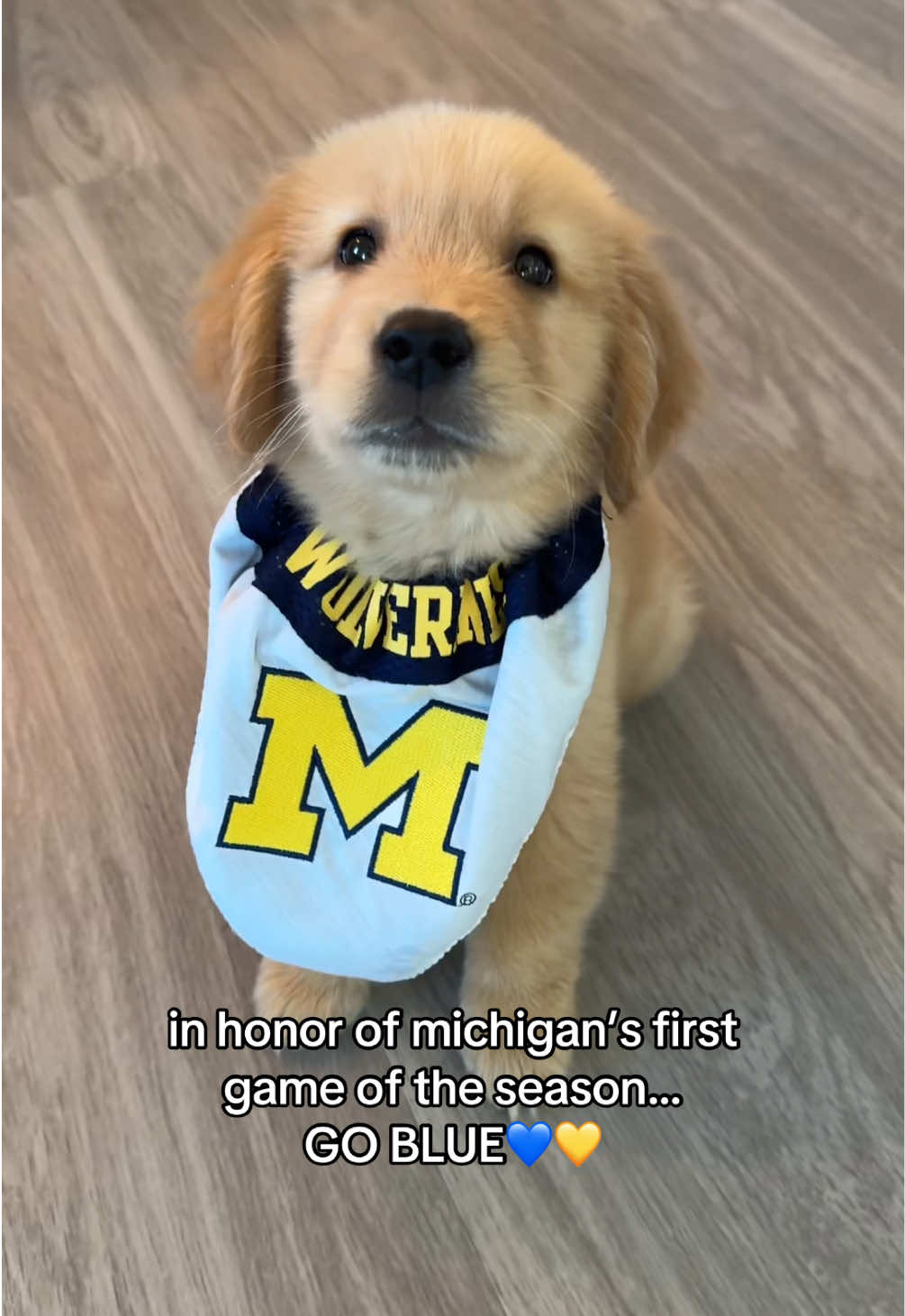 sincerely, an ann arbor livin boy! #goblue 