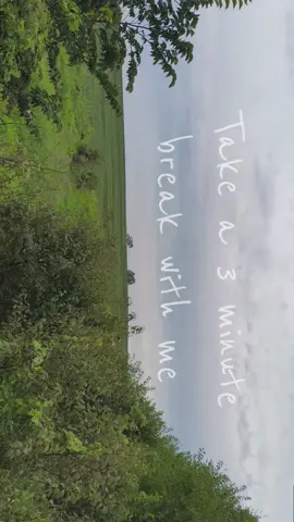 Let’s take a moment to breathe, chill out, and enjoy the midwestern scenery 🌾  Listen to the bugs and birds, you might be able to hear the cardinals, goldfinches, cat bird, and a woodpecker! I also got to see a red tail hawk, an indigo bunting, and a song sparrow. Hills, grasses, farmland, plains, prairie…it’s home.  #asmr #birdwatching #Hiking #midwest #prairie