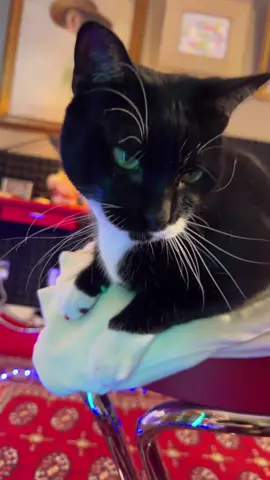 this might’ve started a fight 😔