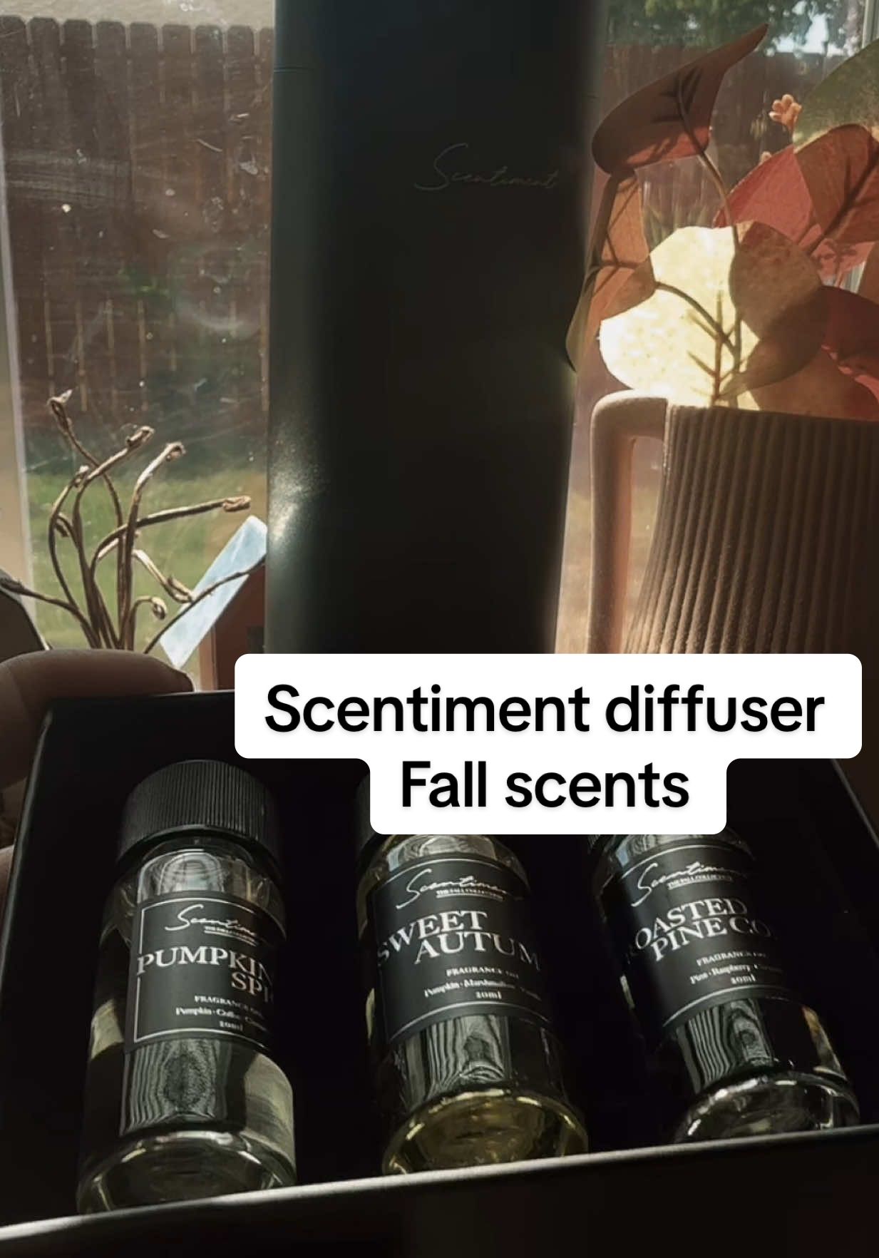 🍂 Turn your home into the coziest fall getaway✨Scentiment’s Fall scents are here! @Scentiment  Pumpkin Spice • Sweet Autumn • Roasted Pine Cone = fall in a bottle 🍁 Tap the cart and take advantage of the #tiktokshoplabordaysale #tiktokshopfinds #pumpkinspiceseason #tiktokshopfinds #TikTokMadeMeBuyIt 