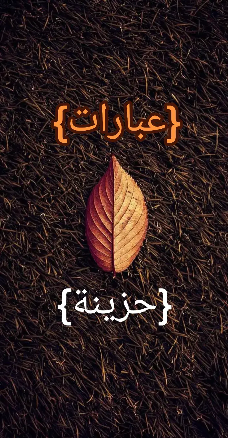 #explorepage✨ #حزين #شعر #tiktok #عباراتكم_الفخمه📿📌 