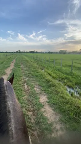 #fyp #viral_video #parati #finca #ganado 