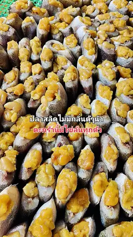 ตะกร้านี้มีไข่ล้นทุกตัวจ้า 