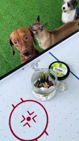 Dentalight Dental Stix Assorted Flavor - Chicken, Calcium Milk, Seaweed 220g #dogtreats #dentalight #dentalstix #dentalightph #dogsoftiktok @Dentalight Ph 