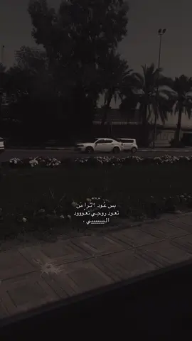 مايعود متوفي 😔#بغداد #رياض_احمد #اغاني #Sing_Oldies 