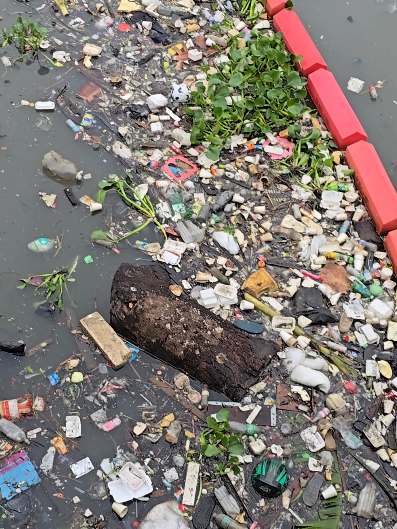 Garbage disposed at Tullahan River. People has no discipline. Everything was throwned on river like garbages, sewage, industrial waste, including dead animals. The government has only temporarily solution (band aid solution) on solid waste management. People never learned their lesson, flood was imminent danger to all low lying areas, corruption on the government and private sector was rampant and normalized, people was born greed and selfish. Flood control was a big failures. The next young generation of our children will never see the a clean river water, including clean ocean. #garbage #basura #followers #highlights #highlights2025 @Marilyn Cabanos Bullecer Adornado @John Rey Tiangco @jeanniensandoval 