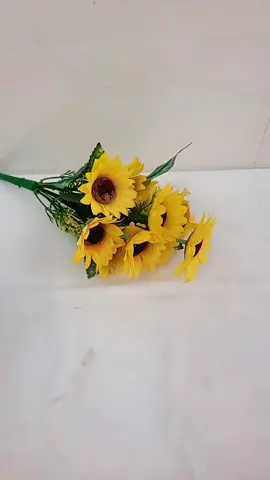 thuốc đuổi chuột trong nhà dạng viên  không độc hại an toàn cho trẻ sơ sinh  và thú cưng #anhthu#thuocduoichuotthanhphanthucvatantoan #thuocduoichuottrongnha #xuhuong #tiktok 