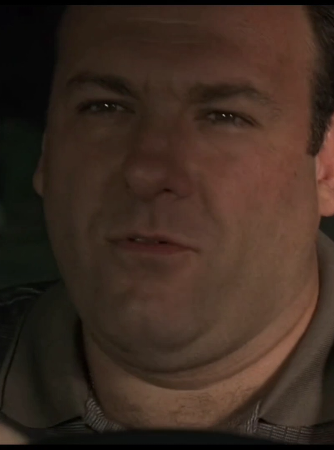 Lady - Hear Me Tonight #tonysoprano #sopranos #funny