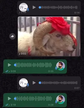 #الشعب_الصيني_ماله_حل😂😂 #اكسبلورexplore #على_روح_جدو_مات_الله_يرحمة