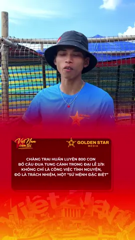 Chàng trai huấn luyện 800 con bồ câu đua tung cánh trong Đại lễ 2 tháng 9: không chỉ là công việc tình nguyện, đó là trách nhiệm, một “sứ mệnh đặc biệt” #vnct #vietnamcuatoi #tiktokviral #gsm #tuhaovietnam 