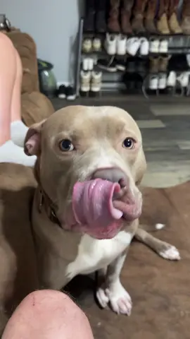 No face no case I guess but I got a hunch 