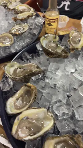 #oysters #dinner 