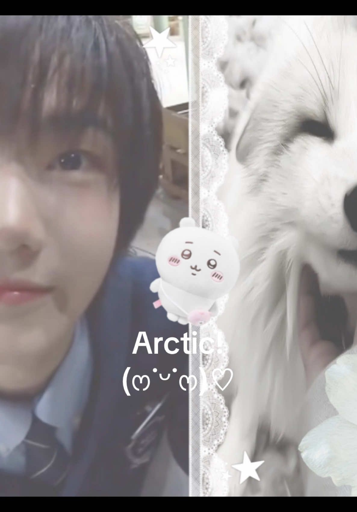 ⋆｡𖦹°⭒˚｡⋆ Arctic’s so smiley ♡(˃͈ ˂͈ ) Boys Planet is gonna destroy me by the finals ᵒ̴̶̷̥́ ·̫ ᵒ̴̶̷̣̥̀ 𓂃˖˳·˖ ִֶָ ⋆🦊❄️⋆ ִֶָ˖·˳˖𓂃 ִֶָ He really looks like a little fox🥹 #boysplanet  #boys2planet  #kpop  #fyp  ##edit 